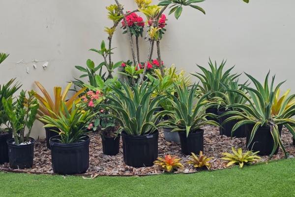 Venta casa unifamiliar de esquina remodelada costa sur