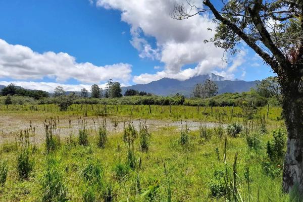 Flat road-front lot for sale in volcan