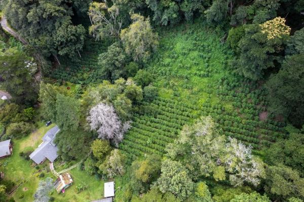 Finca histórica de montaña | tierras altas, volcán