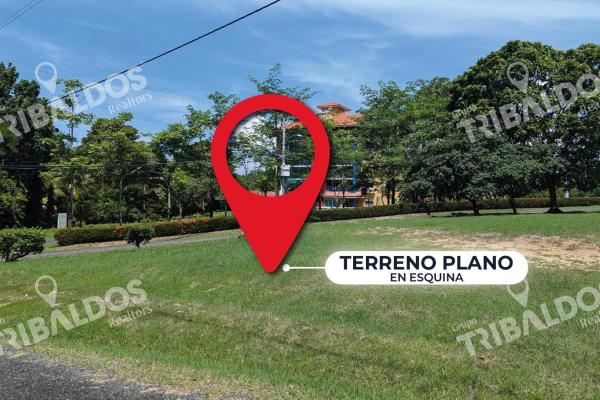 Flat land for sale in punta barco resort