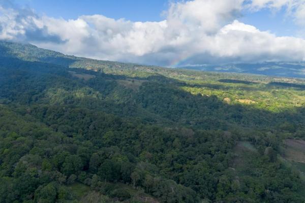 22 hectares with creek and mountain views