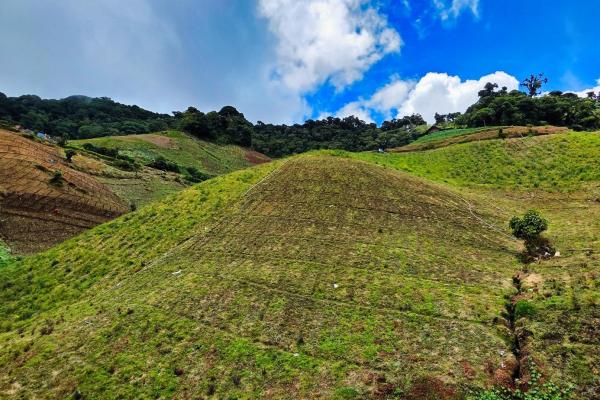 Finca agrícola en venta – cerro punta, chiriquí