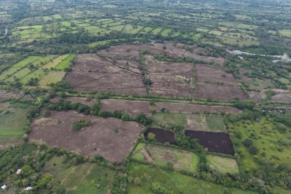 Flat farm for sale in siogui, bugaba, chiriqui
