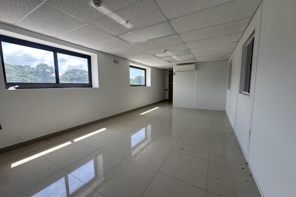 Sale or rent of modern warehouse in tocumen storage complex, mañanitas