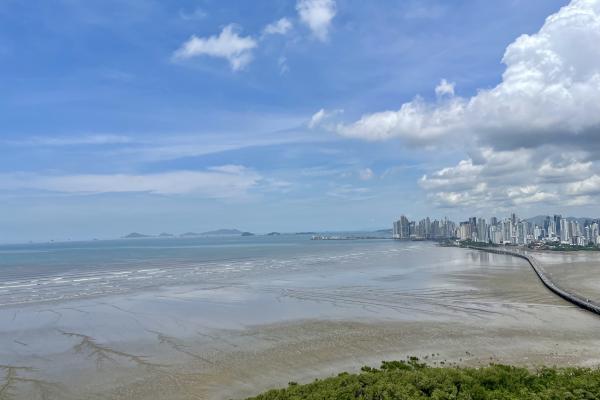 Venta de apartamento en ph altamar del este, en costa del este