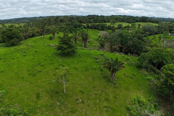Se vende terreno para desarrollo residencial en el trapichito, la chorrera