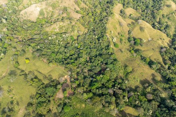 Cambutal lush property for sale near town