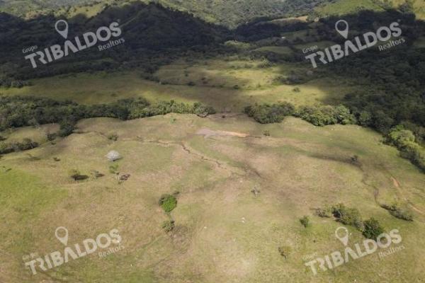 Se vende finca ganadera en margarita de chepo