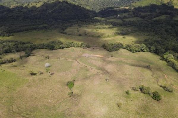 Venta de finca margarita chepo 200 has