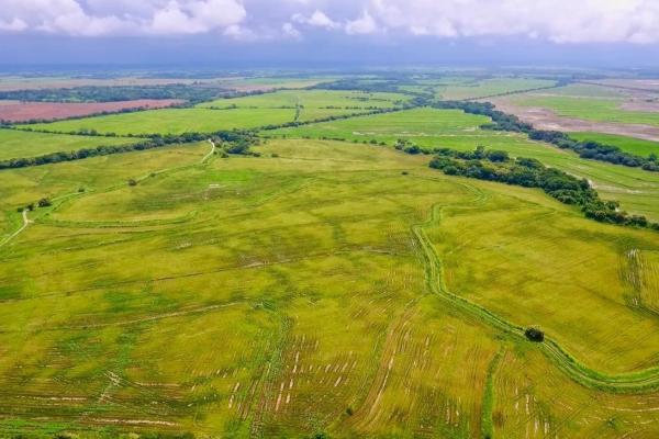 Operating rice farm for sale