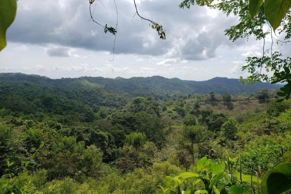 Land for sale in colon, buena vista, el giral