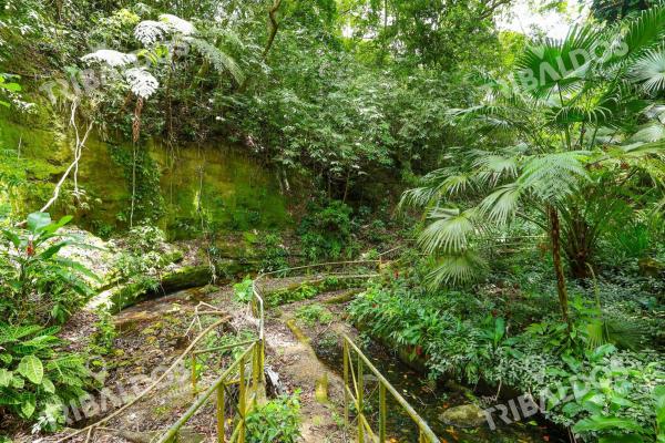 Venta de 1.8 hectáreas con ríos y senderos vía al valle de antón