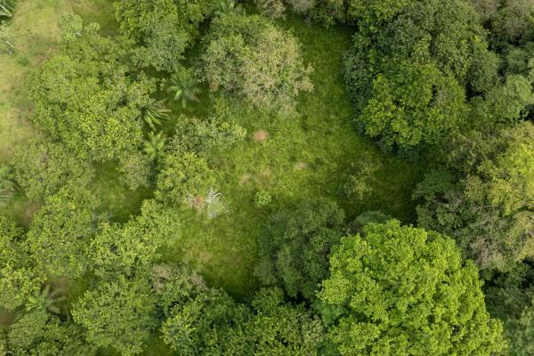 Se vende 2.02 hectareas planas en las lajas chiriqui