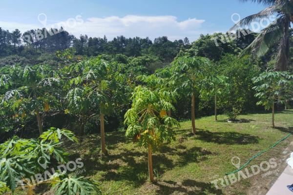 Venta de terreno en rio hato