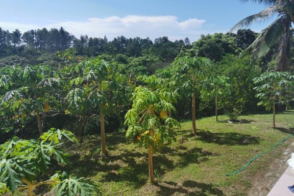 Venta de terreno en rio hato