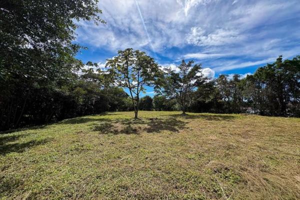 Spacious 9,229 m² flat lot in alto boquete
