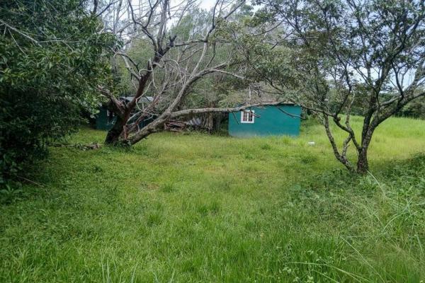 Amplio terreno plano de 9.229 m² en alto boquete