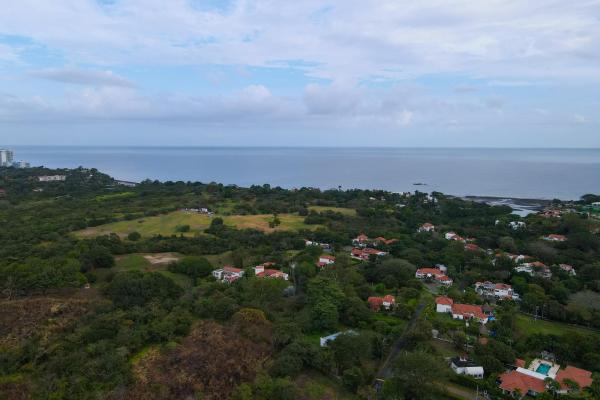 Land for sale in punta barco resort