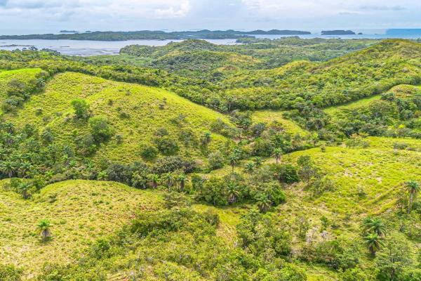 6-hectare hill property for sale in boca chica