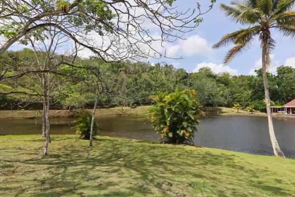 Brisas de los lagos in chorrera for sale and rent