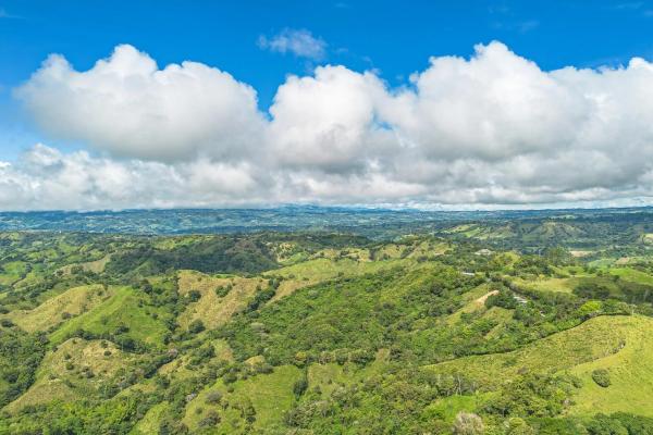 15-hectare self-sufficient property