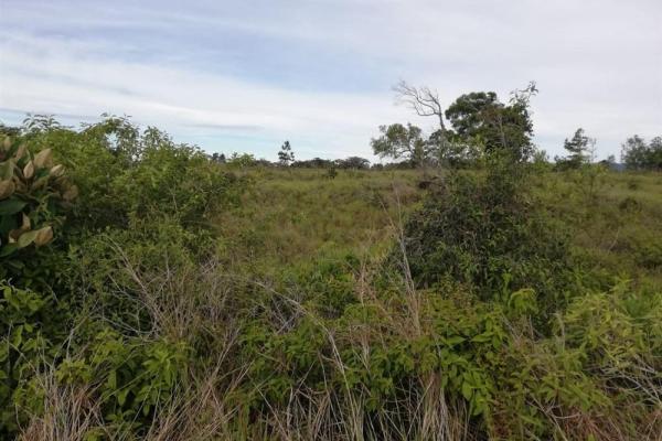 Amplios 5 hectáreas en venta en alto boquete