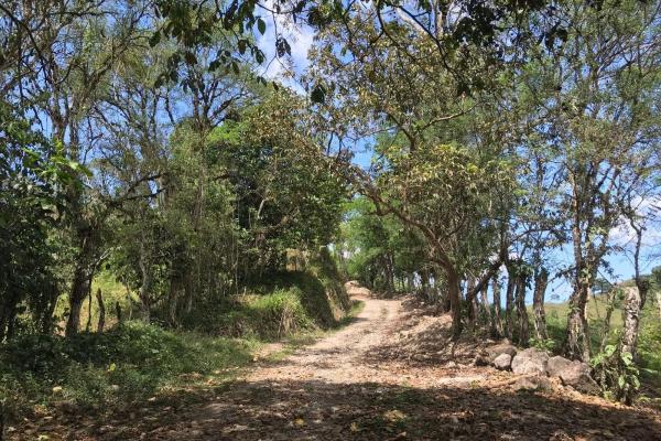 Amplia propiedad de 146.652 ha con fuentes de agua