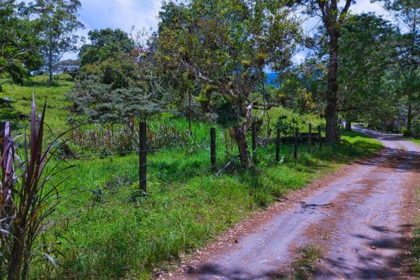 Land with a natural creek