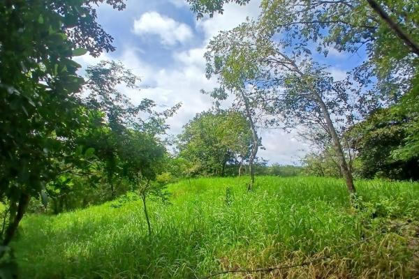 Land for sale, facing the street