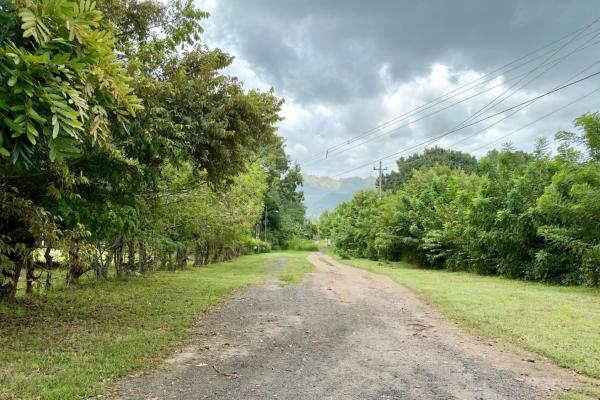 Venta de terreno en gorgona