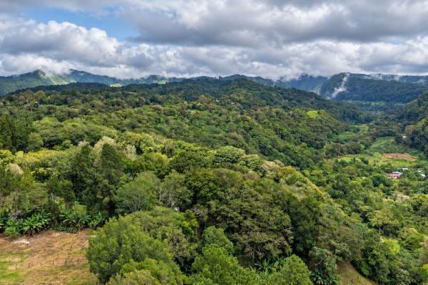 Terreno de 6.694 m² en venta en palmira boquete