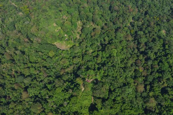 10 hectares of titled waterfront in tierra oscura
