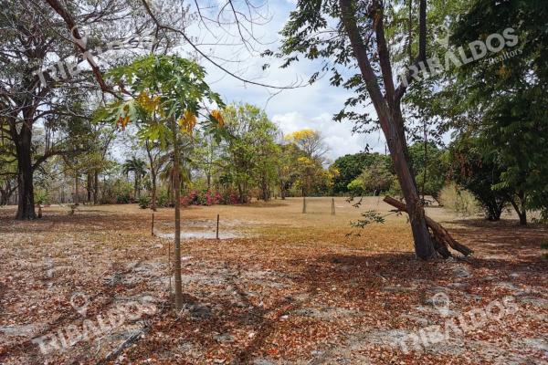 Finca en chame