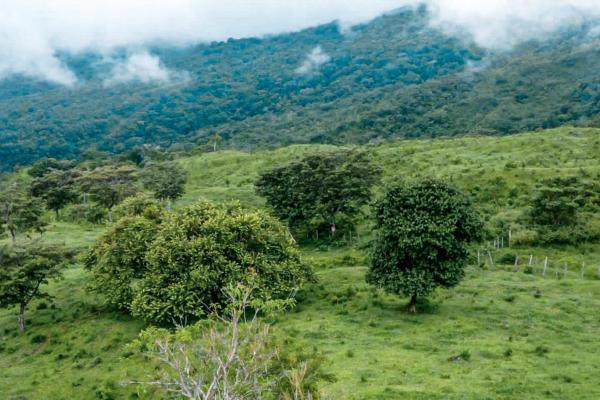 11 hectares land for sale in caldera boquete