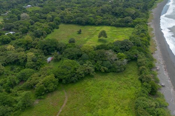 +9 hectáreas de terreno plano frente al mar en venta