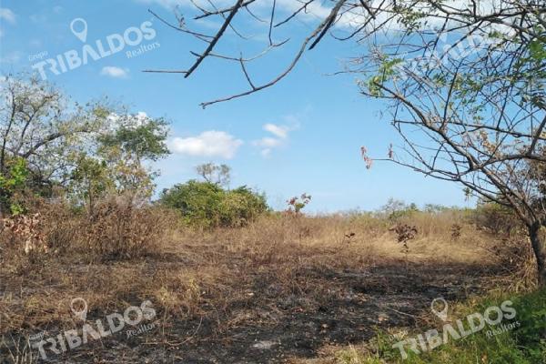 Venta de terreno en punta barco