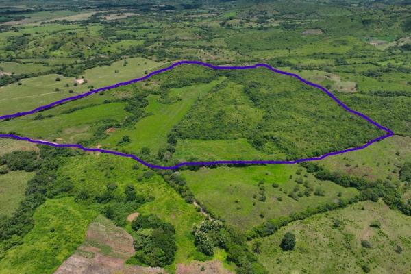Venta de finca agricola ideal para ganadería y otros cultivos en ocú