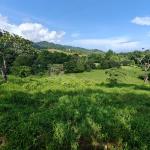 Se vende finca en costa arriba de colón