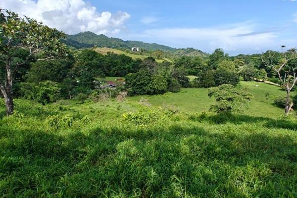 Se vende finca en costa arriba de colón