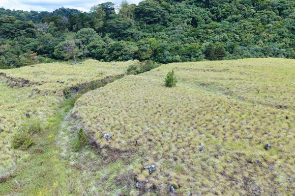Large residential lot for sale – paso ancho