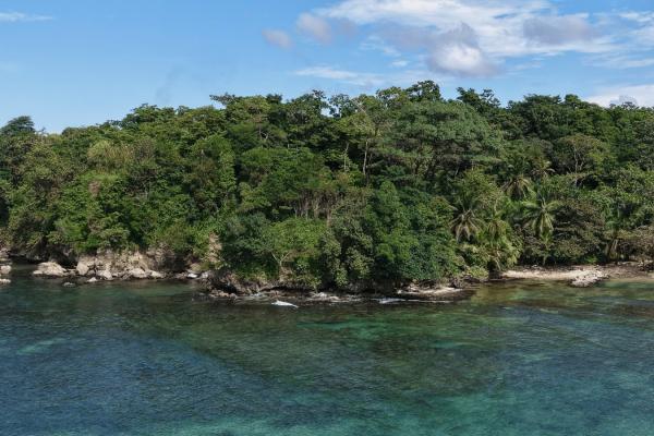 Propiedad boscosa frente al mar de 2,4 hectáreas en drago