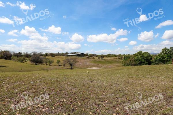 Venta de granja con mejoras en san carlos