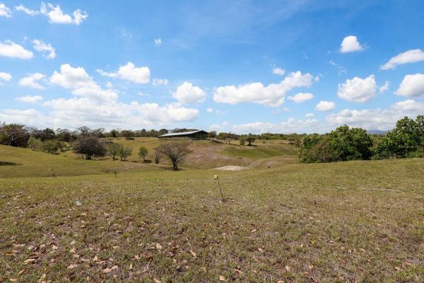 Venta de granja con mejoras en san carlos