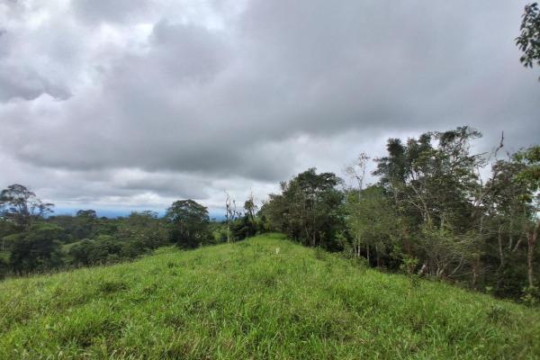 Finca con tierra negra, pasto, clima fresco y bien ubicada.