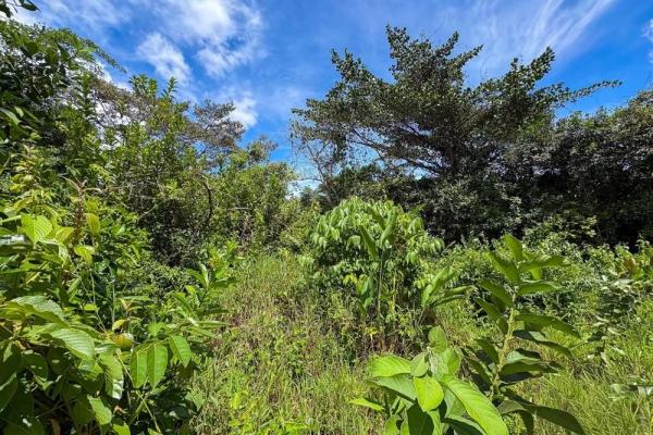 1.28-acre lot sale in potrerrillos, dolega