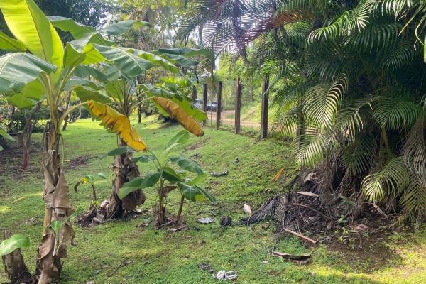 Caribbean oceanfront land in panama