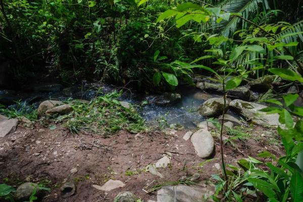 Expansive land for sale in las lomas, david