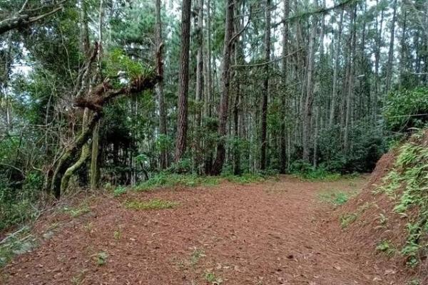 22 hectares within altos del maria with views