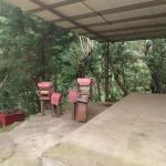 Award winner coffee farm