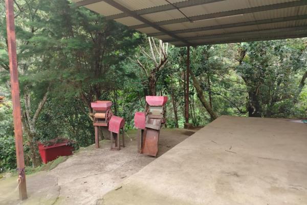 Award winner coffee farm